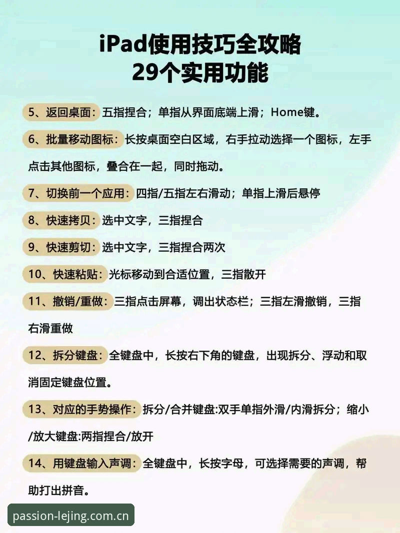 乐竞APP使用实用指南：从下载到观赛的完整操作手册